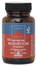 Terranova Mushroom Synergy